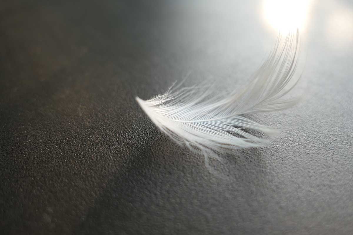 departed-loved-ones-messages
